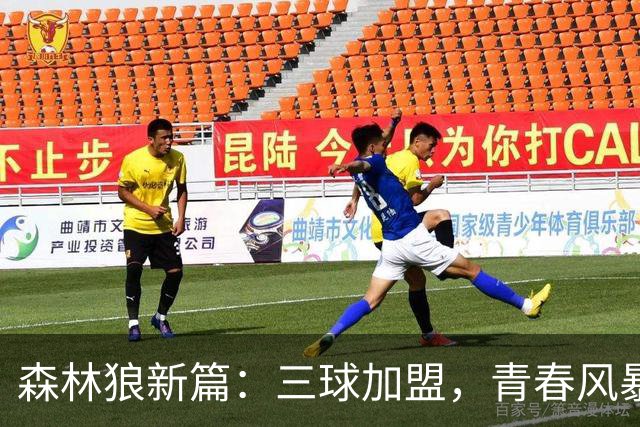 森林狼新篇：三球加盟，青春风暴再起